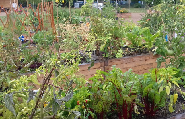 Náš logr hazíme do kytek